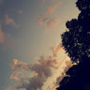 Meet your Posher, Cleo